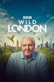 Wild London